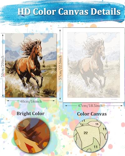 TOCARE Horse Paint by Numbers Kit for Adults,Acrylic Adult Paint by Number Canvas Running Horse,16x20inch Adults' Paint-by-Number Kits - color: TC-OPC-72