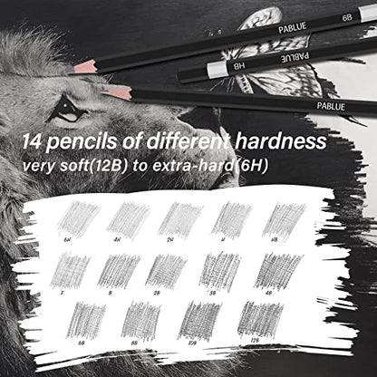 Professional Triangular Drawing Sketching Pencil Set,6H,4H,2H,H,HB,F,B,2B,3B,4B,6B,8B,10B,12B Graphite Shading Pencils Gift for Beginners,ProArtists,Drawing,Drafting,Sketching,Shading(14 Pcs)