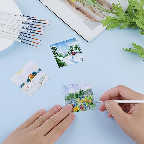 cobee 12Pcs Fine Paint Brushes, Detail Paint Brushes Micro Artist Paintbrush Set Acrylic Paint Brushes for Kids Students Artists Detail Painting Oil Fine Art Painting Watercolor Nail Art