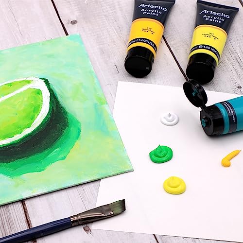 Artecho Professional Acrylic Paint Set, 20 Primary Colors (120ml / 4.05oz) Tubes, Art Craft Paints for Canvas, Rock, Stone, Wood, Fabric, Art Supplies - color: 20 Basic Colors, style: Regular
