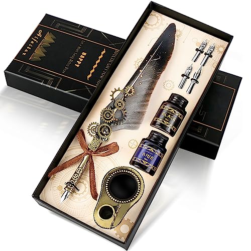Aifeiter Feather Pen ink Set,Calligraphy Pen Set,Includes:Quill Pen,2 Bottles of Color ink,2 in one Holder,4 Stainless Steel Nibs,Black Gift Box-Grey - color: Grey1
