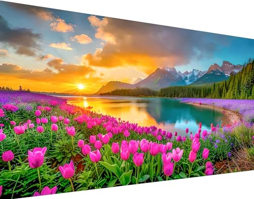 igoodom Large Diamond Painting, Landscape Large Diamond Art Kits for Adults, Full Drill Round Big Diamond Painting, DIY Gem Art and Crafts for Home Wall Decor Gift 27.5 X 15.7inch - color: B9820