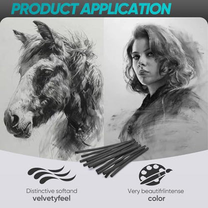 25 Pcs Willow Charcoal Sticks, Willow Charcoal,Sizes: 2-4mm,Professional Soft Black Drawing Charcoal for Sketching & Art