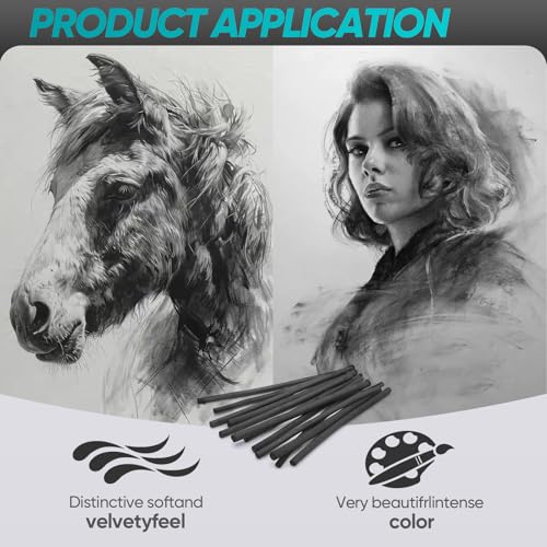 50 Pcs Willow Charcoal Sticks, Willow Charcoal,Mixed Sizes: 4-5mm, 5-7mm,Professional Soft Black Drawing Charcoal for Sketching & Art