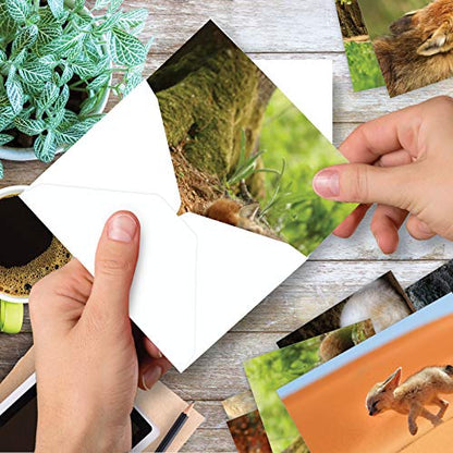 The Best Card Company - 10 Adorable Note Cards Blank (4 x 5.12 Inch) - Wildlife and Animal, Assorted Boxed Set - Little Foxes M6480OCB - style: Little Foxes