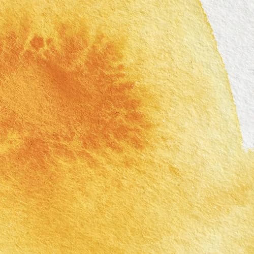 Winsor & Newton Professional Watercolor, 5ml (0.17-oz) Tube, Cadmium Yellow Deep - color: Cadmium Yellow Deep, style: 0.17-oz Tube