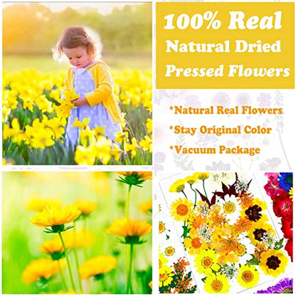 93 Pcs Yellow Dried Pressed Flowers Real Natural Leave Petals for DIY Resin Candle Jewelry Nail Crafts - color: Yellow
