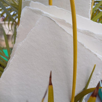 5x7 inches- 400 GSM / 25 Sheets-Rough/Textured Drawing/Sketching Paper- Handmade/Deckle Edge Paper Made from Virgin Egyptian Cotton - Off-White by Deckle Papers - size: 5x7"
