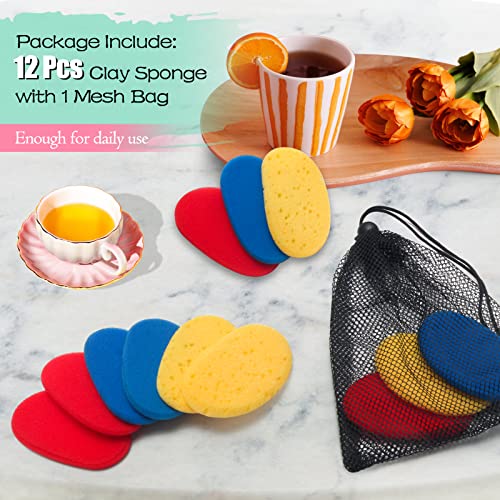 12Pcs Clay Sponges for Clay, Boyistar Ceramics Pottery Clay Sponge for Shaping and Clean Sponge with 3-Density Clay Sponge Artists Sponge for Pottery Modeling Sculpting with Mesh Bag