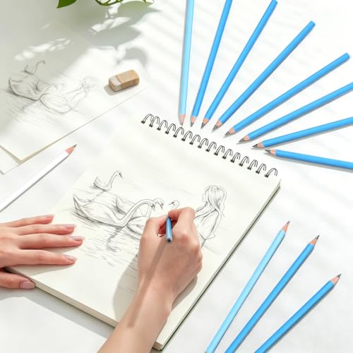 Mifuner 12 Graphite Pencils Professional Drawing Set, Art Supplies for Sketching Shading Blending, Gifts for Artists Adults Beginners. Black - color: Black