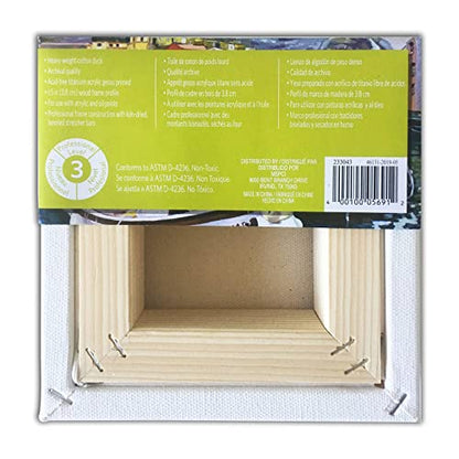 Artist's Loft 6" x 6" Level 3 Gallery Wrapped Heavy Duty Canvas - Archival, Acid Free Cotton Canvas for Paint, Acrylic, & Oils - Bulk 12 Pack - size: 6\ x 6\