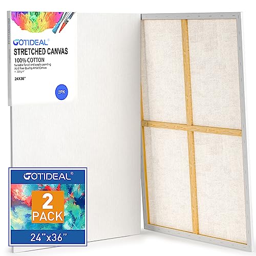 GOTIDEAL Stretched Canvases for Painting, 24x36" Inch Set of 2, Primed White - 100% Cotton Blank Art Large Canvas Boards for Painting for Acrylic Pouring, Oil Paint Dry & Wet Art Media - color: White, size: 24"x36"