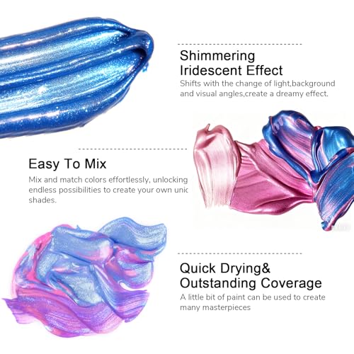 ABEIER Iridescent Acrylic Paint, Set of 20 Chameleon Colors, 8.45 oz/250ml Large Bulk Bottles, Color-shifting, Non-Toxic, High Viscosity, Blendable, Paints on Rocks Crafts Canvas Wood, Fabric, Ceramic & Stone - color: 20 Colors