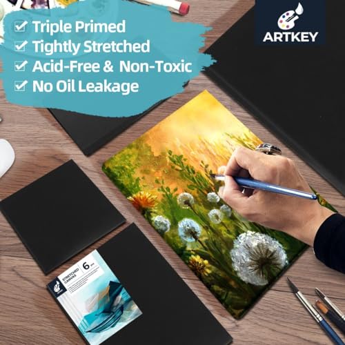 Artkey 6-Pack Black Canvas, 8x10 Inch, Triple Primed, Acid-Free, 100% Cotton, For Acrylics, Oil, Watercolor Paints - size: 8"X10"(6-PACK)