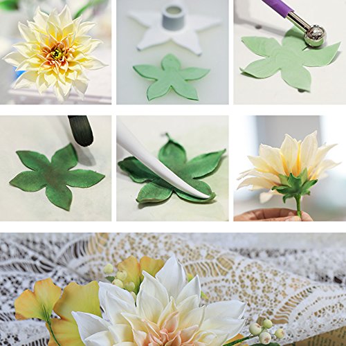 KALAIEN Dahlia Sugar Flower Veining Molds Fondant Cutters Gumpaste Cake Craft Tools(14PCS) - color: Dahlia Set(14pcs)
