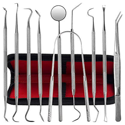 Dental Kit Tools, 10 Pack Stainless Steel Plaque Remover, Dental Tools to Remove Plaque and Tartar, Oral Care Kit with Plaque Cleaner, Tartar Pick, Tooth & Tongue Scraper for Dentist, Personal, Family