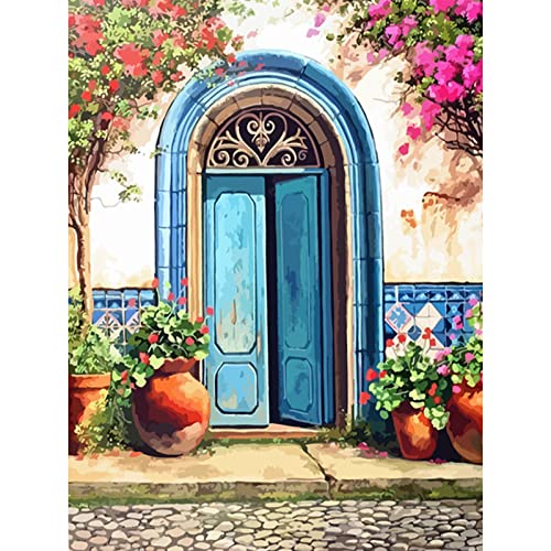 Amphol DIY Paint by Number for Adults and Kids, Acrylic Paint by Numbers for Beginner, 16” W x 20”L Easy Oil Painting for Gift Home Wall Decor (Blue Door) - color: OP-6
