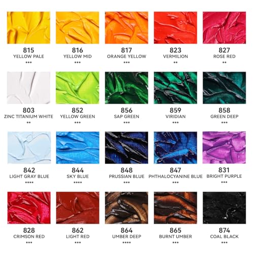 Paul Rubens Oil Paint, 20 Basic Colors*170 ml LargeTubes, Professional Oil Based Paint with High Saturation, Creamy Texture, and Consistency,Art Supplies for Artists, Students, Beginners - color: 20 colors*170ml-B