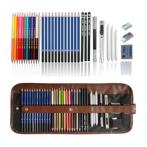 Sauonbly Drawing Pencils, 36pcs Art Supplies Sketching Pencils Graphite Pencils Charcoal Pencil Dual Ended Colored Pencils, Art Set for Beginners Artists, style 1 - color: Blue