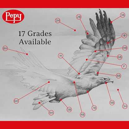 Pepy Graphite Professional Drawing Pencils - Set of 12 2H Pre-Sharpened Black Lead Pencils; Perfect for Drawing, Sketching and Shading, Graphic and Fine Art - style: Set of 12 - 2H