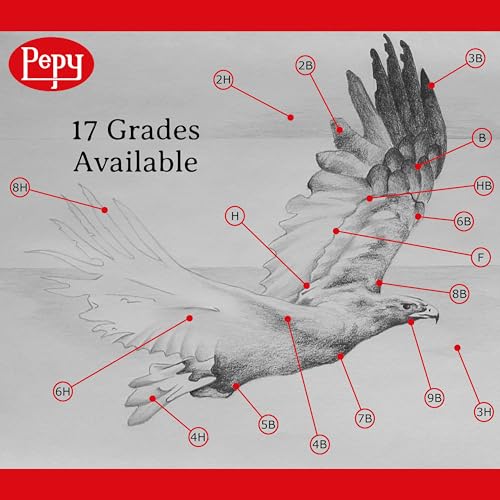 Pepy Graphite Professional Drawing Pencils - Set of 12 6H Pre-Sharpened Black Lead Pencils; Perfect for Drawing, Sketching and Shading, Graphic and Fine Art - style: Set of 12 - 6H