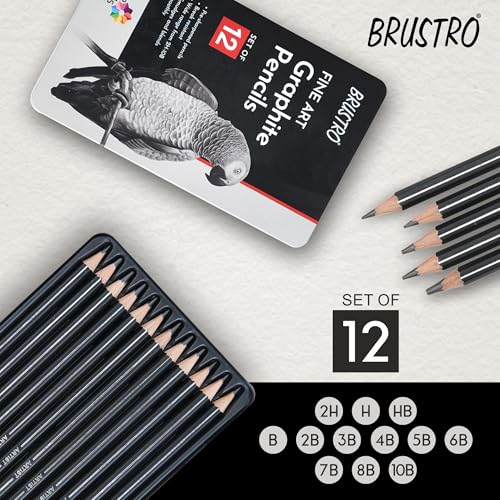 BRUSTRO Fine Art Graphite Pencil - Set of 12 (10B - 2H) with Mechanical Precision Retractable Eraser(2.3mm) | Ideal for Drawing,Sketching,Mandala,Shading,Artwork, Beginners, Artists and Professionals - style: Graphite Pencil + Mechanical Eraser
