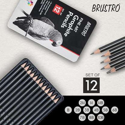 BRUSTRO Fine Art Graphite Pencil - Set of 12 (10B - 2H) with Mechanical Precision Retractable Eraser(2.3mm) | Ideal for Drawing,Sketching,Mandala,Shading,Artwork, Beginners, Artists and Professionals - style: Graphite Pencil + Mechanical Eraser