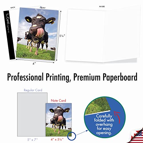 The Best Card Company - 10 Adorable Note Cards Blank (4 x 5.12 Inch) - Wildlife and Animals, Assorted Boxed Set - Cowlicks M4604OCB-B1x10 - style: Cowlicks