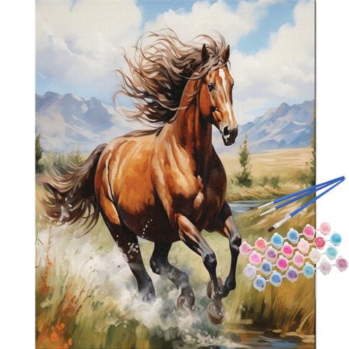 TOCARE Horse Paint by Numbers Kit for Adults,Acrylic Adult Paint by Number Canvas Running Horse,16x20inch Adults' Paint-by-Number Kits - color: TC-OPC-72