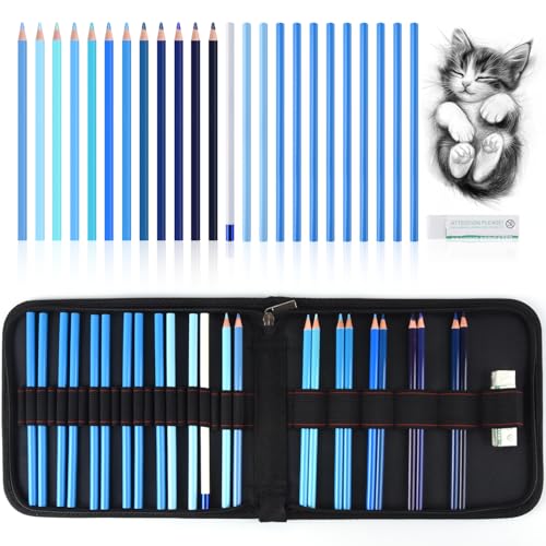 Mifuner Professional Drawing Set, 12 Colored Pencils & 12 Graphite Pencils with Eraser & Case, Art Supplies for Sketching Shading Blending, Gifts for Artists Adults Beginners.Blue Black - color: Set-Blue