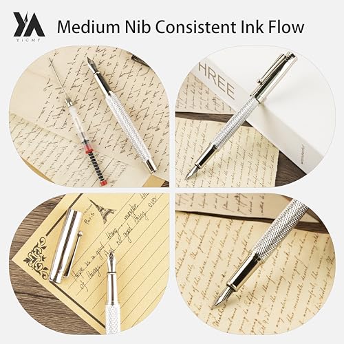 Fancy Fountain Pen Set – Fine & Medium Nibs, Includes 18 Ink Cartridges, Ink Converter, Syringe Filler, Luxury Gift for Writing, Journaling & Calligraphy，Silvery - color: silvery