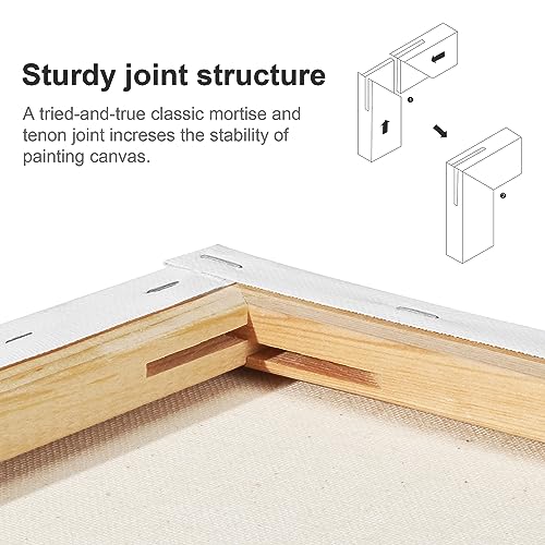 PHOENIX 8x10 Inch Pack of 2 Canvas - Stretched Canvases for Painting, 8 Oz Triple Primed 5/8 Inch Profile 100% Cotton White Blank Framed Canvas for Oil Acrylic & Pouring Art - size: 8"x10", style: Studio 2 Pack Set