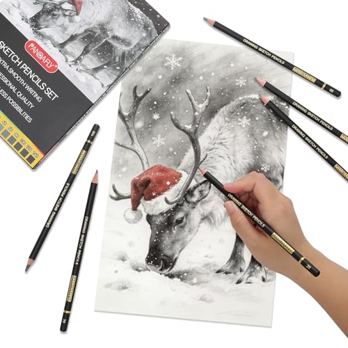 PANDAFLY Drawing Sketch Pencil Set, 16 Piece, 4H to 14B Graphite Pencils | Includes Erasers and Pencil Sharpener, Pro Art Pencil Kit for Drawing, Sketching, Shading, Ideal for Artists and Beginners