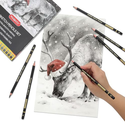 PANDAFLY Drawing Sketch Pencil Set, 16 Piece, 4H to 14B Graphite Pencils | Includes Erasers and Pencil Sharpener, Pro Art Pencil Kit for Drawing, Sketching, Shading, Ideal for Artists and Beginners