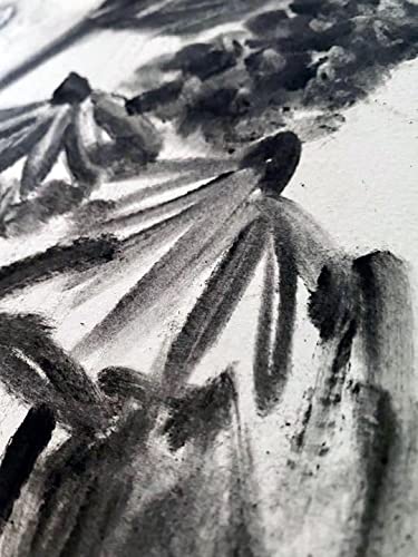 Premium Charcoal Powder for Drawing and Art
