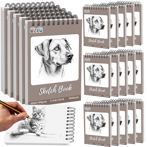 20 Pcs Sketch Books Bulk 5.5 x 8.5 In 800 Sheets Top Spiral Bound Sketch Pad Drawing Paper 40 Sheets Each Acid Free Mixed Media Sketchbook 68lb/100gsm Art Supplies for Beginner Artist - size: 5.5x8.5in, style: Total 800 sheets-20pcs