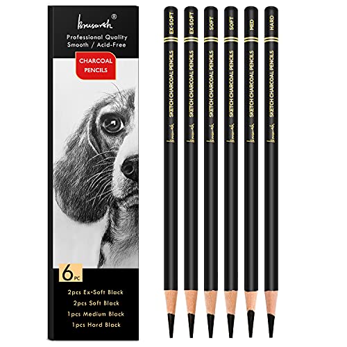 Brusarth Professional Charcoal Pencils Drawing Set - 6 Pieces Soft Medium and Hard Charcoal Pencils for Drawing, Sketching, Shading - color: Black