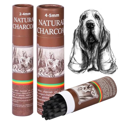 50 Pcs Willow Charcoal Sticks, Willow Charcoal,Mixed Sizes: 4-5mm, 5-7mm,Professional Soft Black Drawing Charcoal for Sketching & Art