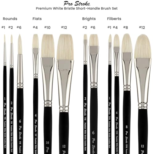 Creative Mark Pro Stroke Premium White Chungking Hog Bristle Artist Paint Brush - Short Handle Set of 12 with Easel Case - Natural Bristle Brush w/Soft Touch Handle for Oils and Acrylics