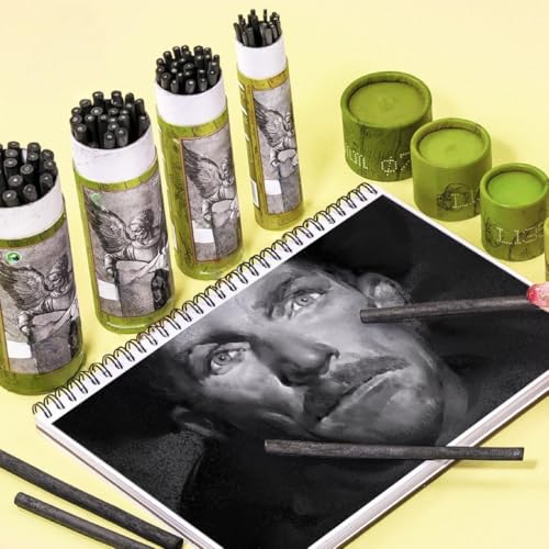 YYMIYU Drawing Pencils Set, Art Sketching Pencils Charcoal Set (Charcoal Sticks 5-7 mm 25pcs 25) - style: Charcoal Sticks 5-7 mm 25pcs 25