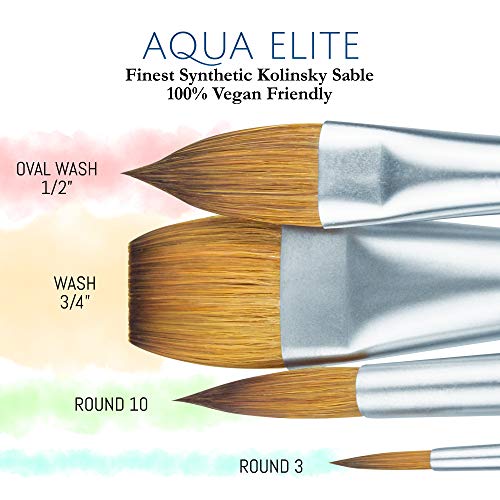 Princeton Artist Brush Co Aqua Elite 4850 Series - 4pc Watercolor Brush Set - Synthetic Watercolor Brushes Professional Kolinsky Sable Brushes - 1/2” Oval Wash, 3/4" Wash, Round 3 & Round 10
