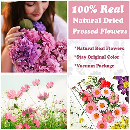 83 Pcs Pink Real Dried Pressed Flowers Natural Leave Petals for DIY Resin Molds Candle Jewelry Nail Crafts - color: Pink