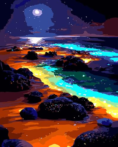 Yunnuo Paint by Numbers Kit for Adults, Seaside Night Scene Adult Paint by Number Kits on Canvas, DIY Beach Number Painting for Wall Decoration Festival Gifts 16"x20"(Glowing Sea Water& Moon) - color: B-005-Seaside