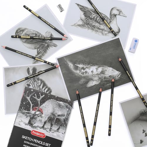 PANDAFLY Drawing Sketch Pencil Set, 16 Piece, 4H to 14B Graphite Pencils | Includes Erasers and Pencil Sharpener, Pro Art Pencil Kit for Drawing, Sketching, Shading, Ideal for Artists and Beginners