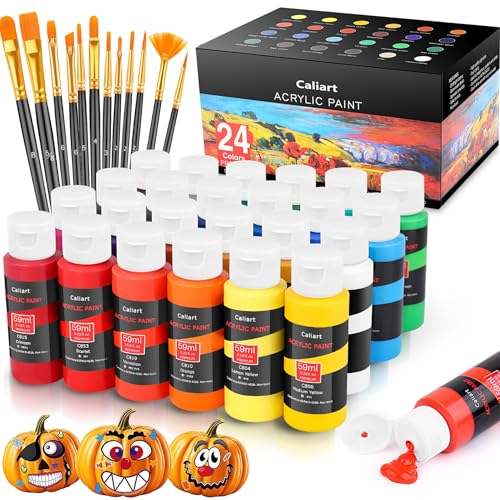 Caliart 24 Colors Acrylic Paint Set with 12 Brushes | Craft Painting kit for Adults Artists Beginners, Rich Pigment Non-toxic, Canvas Wood Rock Pumpkin Ceramic Art Supplies Paint - color: Regular, size: 2 Fl Oz (Pack of 24)