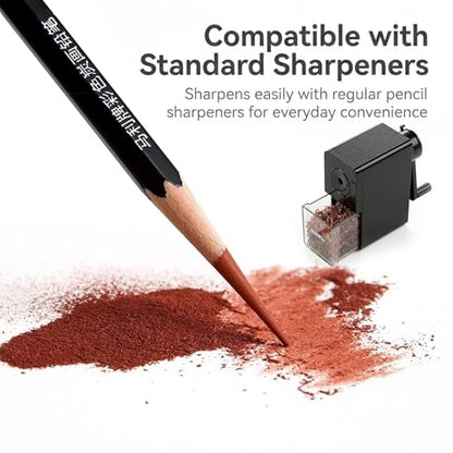 Marie's Professional Charcoal Drawing Set - Premium Artist Sketching Pencils for Portraits & Fine Art - Ideal for Professional Artists & Studio Creation(Grey) - style: Grey (10pcs)