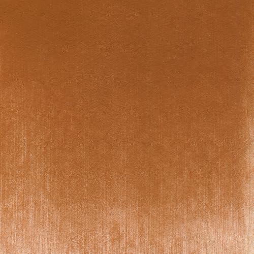PanPastel Artist Pastels by GOLDEN, Burnt Sienna, 2.44” / 62mm Pan Diameter, Professional Artist Pastels, Unique Pan Format (cake-like) - color: Burnt Sienna, size: 1 Count (Pack of 1)