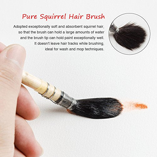 Paul Rubens Professional Watercolor Paint Brush, Size 4 Wash/Mop Round Squirrel Hair Paint Brush for Art Painting, Fine Detailing, Acrylic, Gouache, Oil - size: Size 4