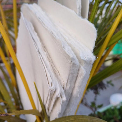 A6-400 GSM / 25 Sheets - Rough/Textured Drawing/Sketching Paper 4x6 inches - Handmade/Deckle Edge Paper Made from Virgin Egyptian Cotton - Off-White by Deckle Papers - size: 4x6"