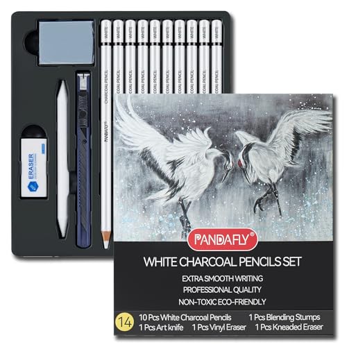 PANDAFLY White Charcoal Pencils Set - 14 Piece Sketch Highlight White Chalk Pencils for Drawing, Sketching, Shading, Blending, Artist Pencils for Beginners & Pro Artists - color: White, size: 1 Count (Pack of 14)
